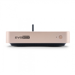 EVOBOX Plus караоке-система для дома в Ямало-Ненецком АО